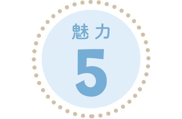 魅力5